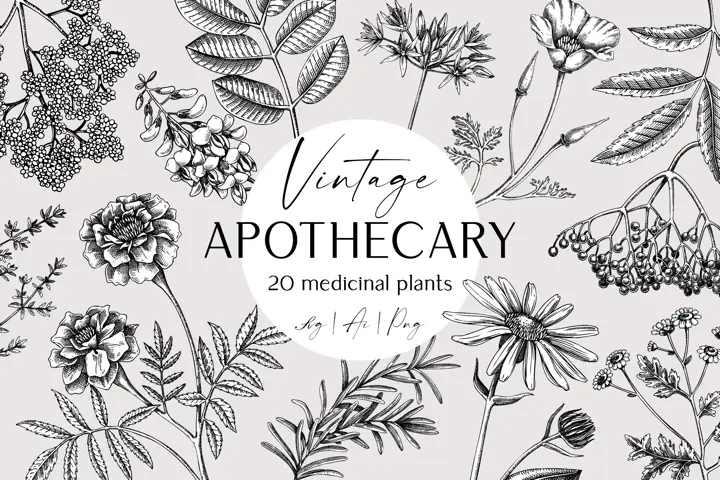 Apothecary Plants & Herbs Vector Sketches Collection